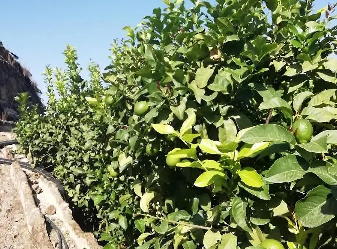 Cristina Sol H1 Apartment