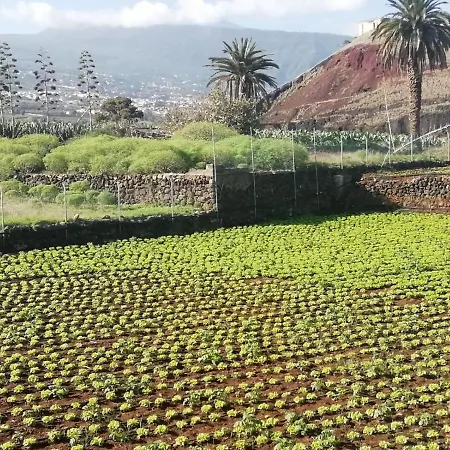 Cristina Sol H1 Appartement