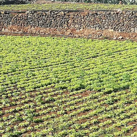 Cristina Sol H1 Appartement *