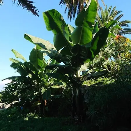 Appartement Cristina Sol H1