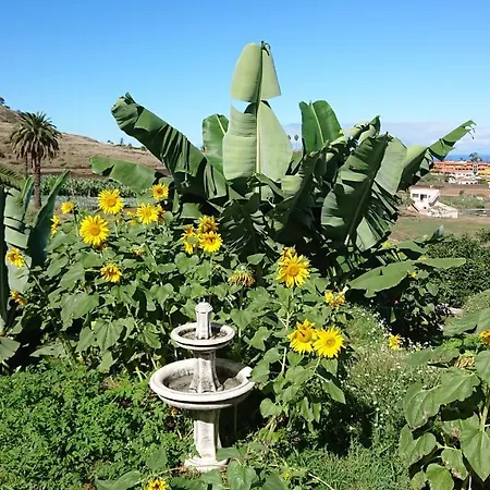 Apartman Cristina Sol H1 Puerto de la Cruz