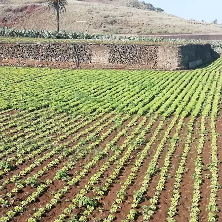 Cristina Sol H1 * Puerto de la Cruz (Tenerife)