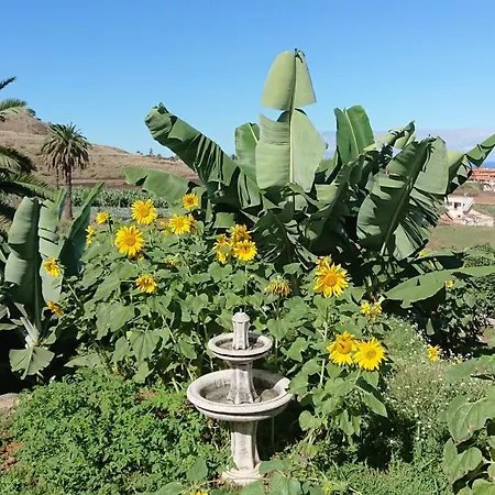 Appartement Cristina Sol H1 *