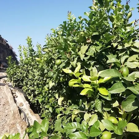 Cristina Sol H1 Appartement