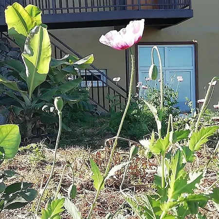 Appartement Cristina Sol H1 *