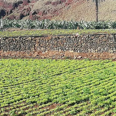 Cristina Sol H1 * Puerto de la Cruz (Tenerife)