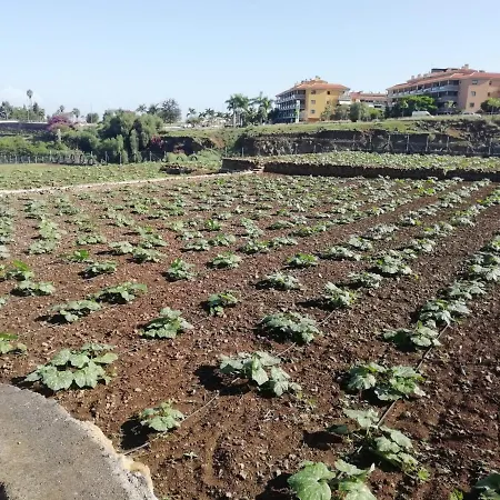 Cristina Sol H1 Appartement *