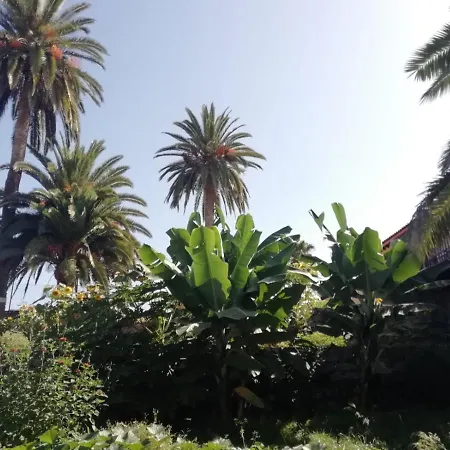 Cristina Sol H1 * Puerto de la Cruz (Tenerife)