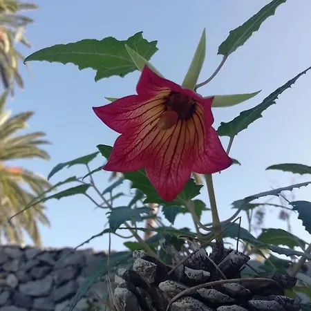 Appartement Cristina Sol H1