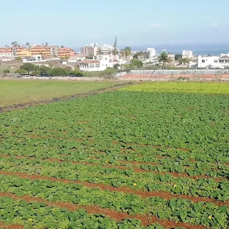Apartamento Cristina Sol H1 Puerto de la Cruz (Tenerife)