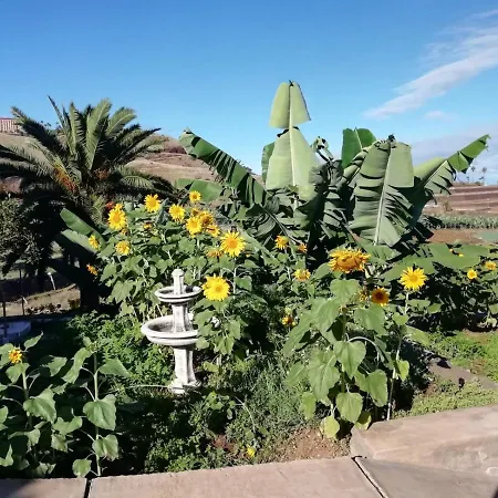 Appartement Cristina Sol H1 *