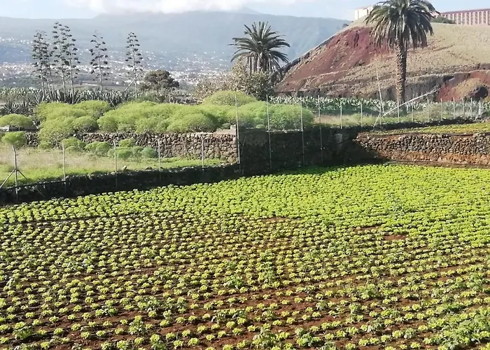 Cristina Sol H1 Apartament