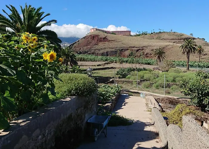 Cristina Sol H1 * Puerto de la Cruz (Tenerife)