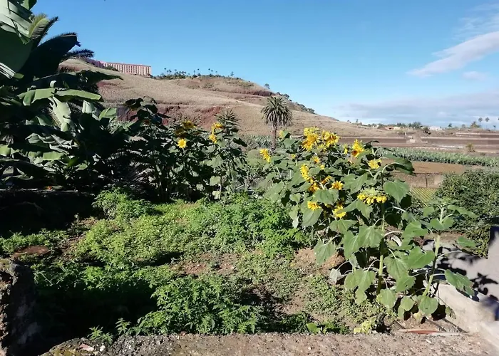 Apartament Cristina Sol H1 Puerto de la Cruz (Tenerife)