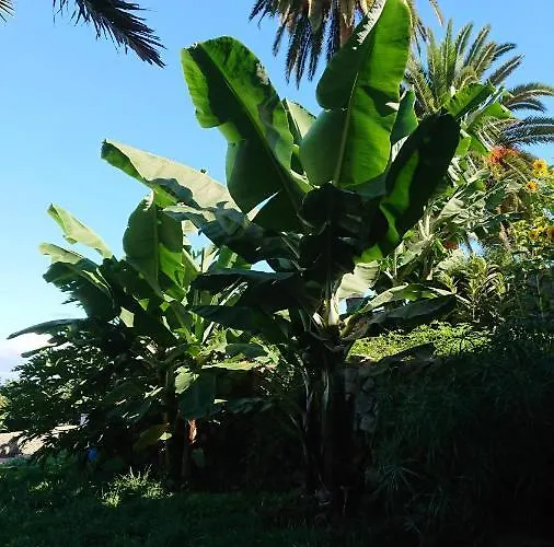 Apartament Cristina Sol H1