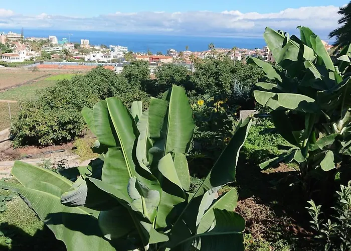 Cristina Sol H1 Apartament