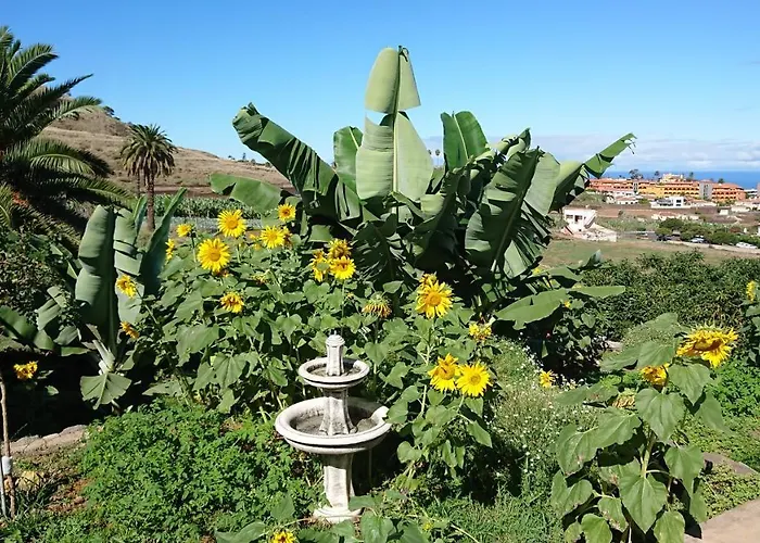 Apartament Cristina Sol H1 Puerto de la Cruz (Tenerife)