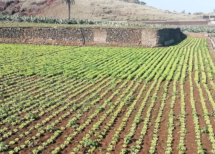 Cristina Sol H1 * Puerto de la Cruz (Tenerife)