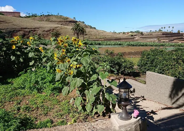 Apartament Cristina Sol H1 Puerto de la Cruz (Tenerife)