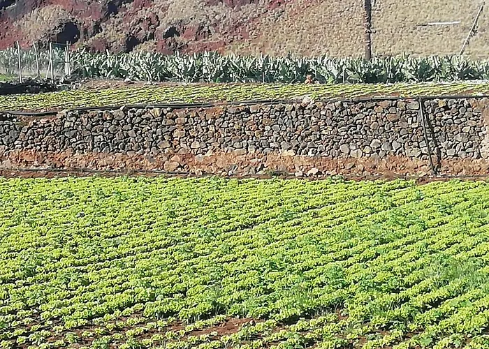 Cristina Sol H1 * Puerto de la Cruz (Tenerife)