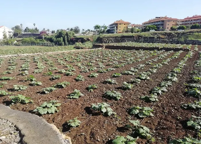 Cristina Sol H1 Apartament *