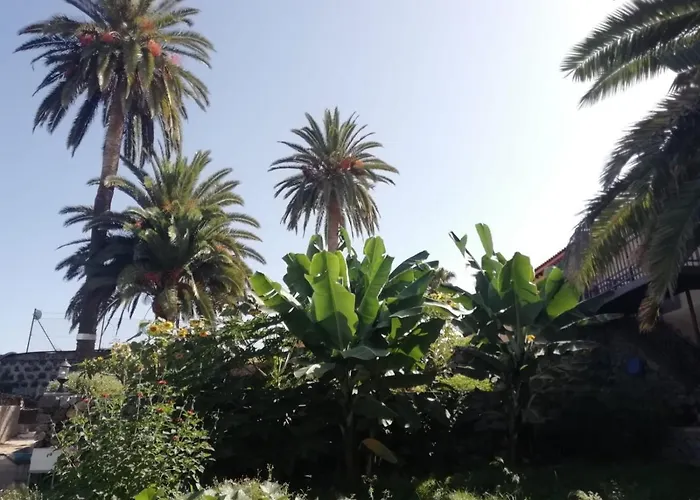 Cristina Sol H1 * Puerto de la Cruz (Tenerife)