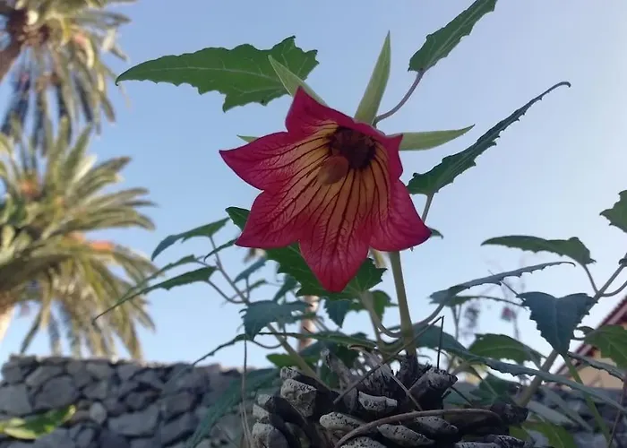 Apartament Cristina Sol H1