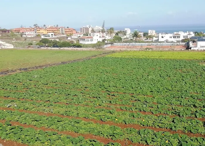 Apartament Cristina Sol H1 Puerto de la Cruz (Tenerife)