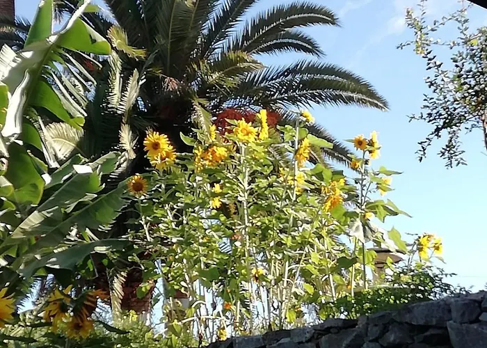 Cristina Sol H1 * Puerto de la Cruz (Tenerife)